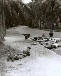 科隆逆袭成功逃离降级区泥潭  